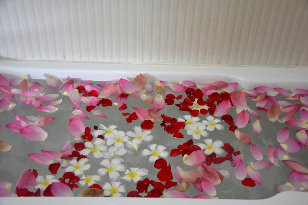 Mango Rain Boutique Hotell Siem Reap Eksteriør bilde